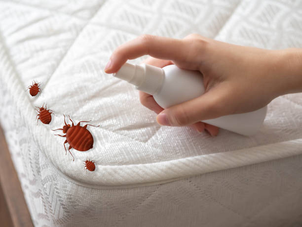 Pest Control for Restaurants in Kouts, IN